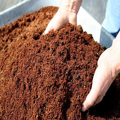 Soil and Fertilizers