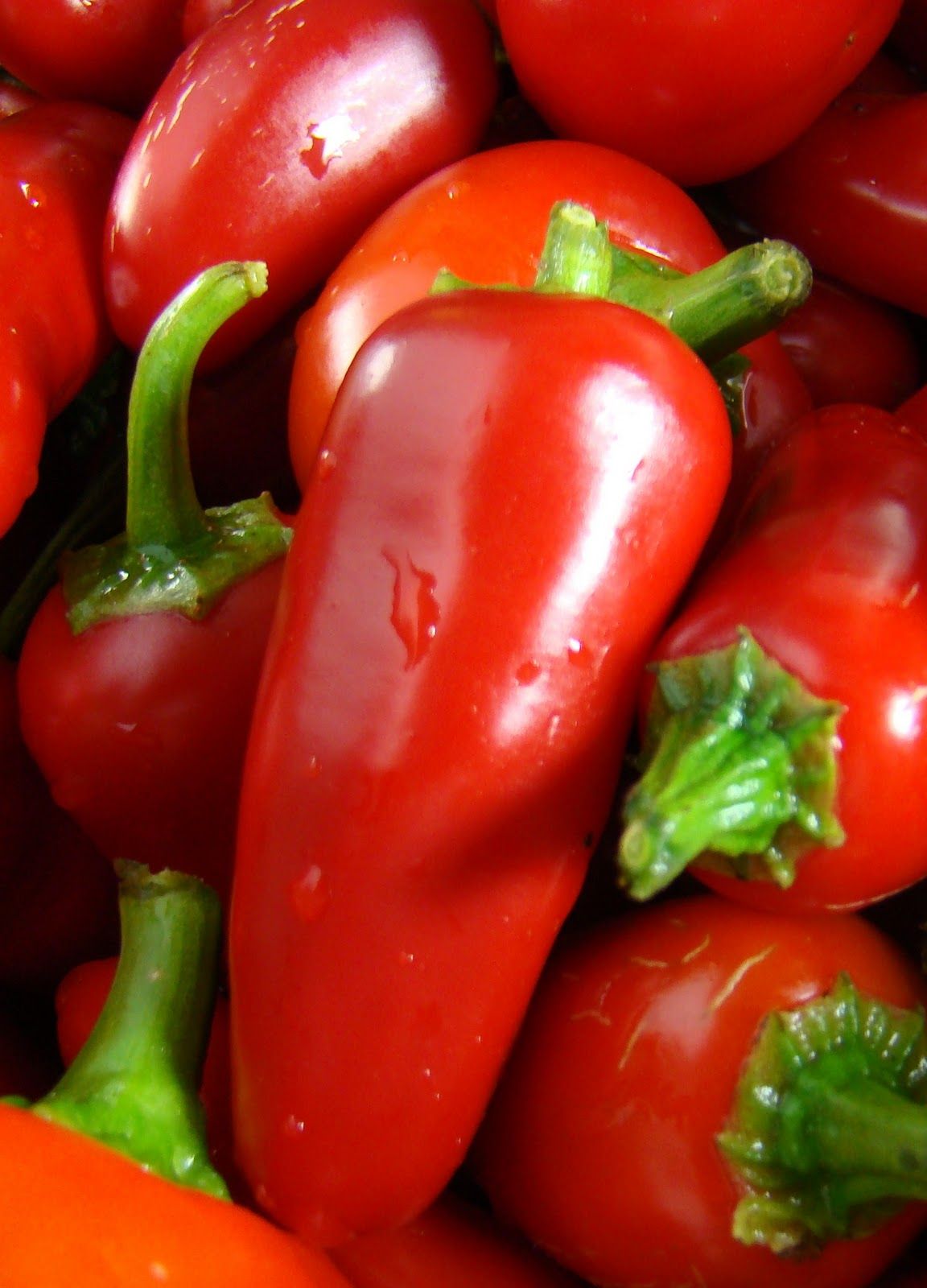 Red Jalapeno (10+seeds)
