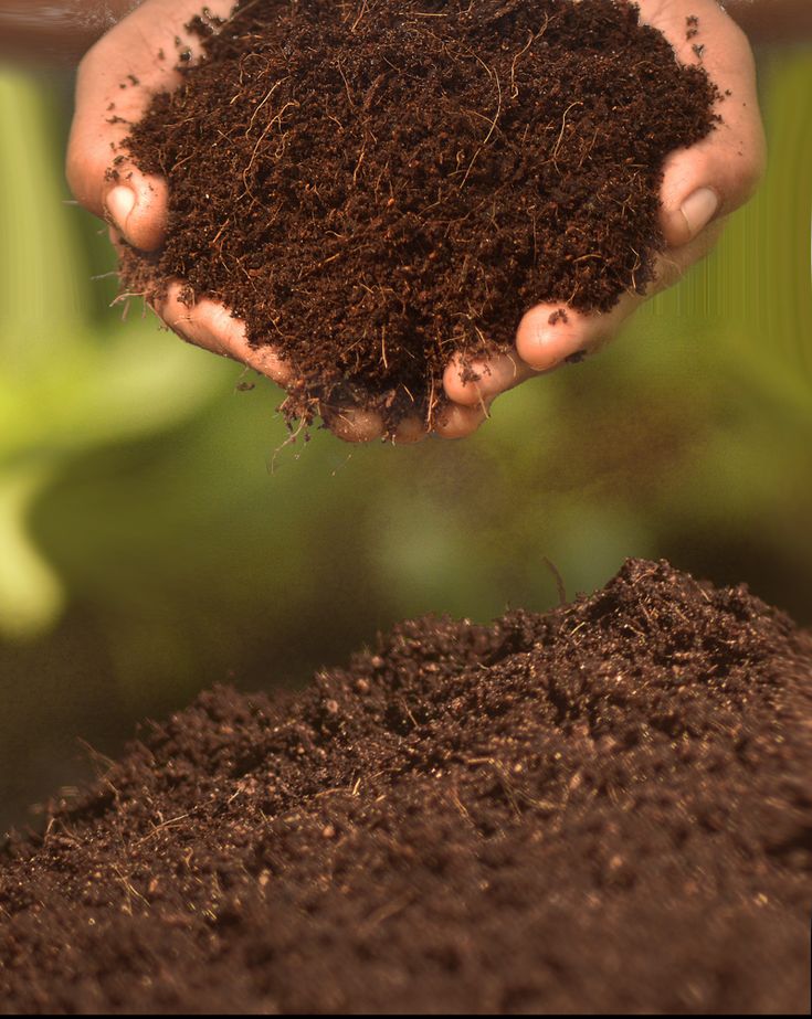 Soil And Fertilizers